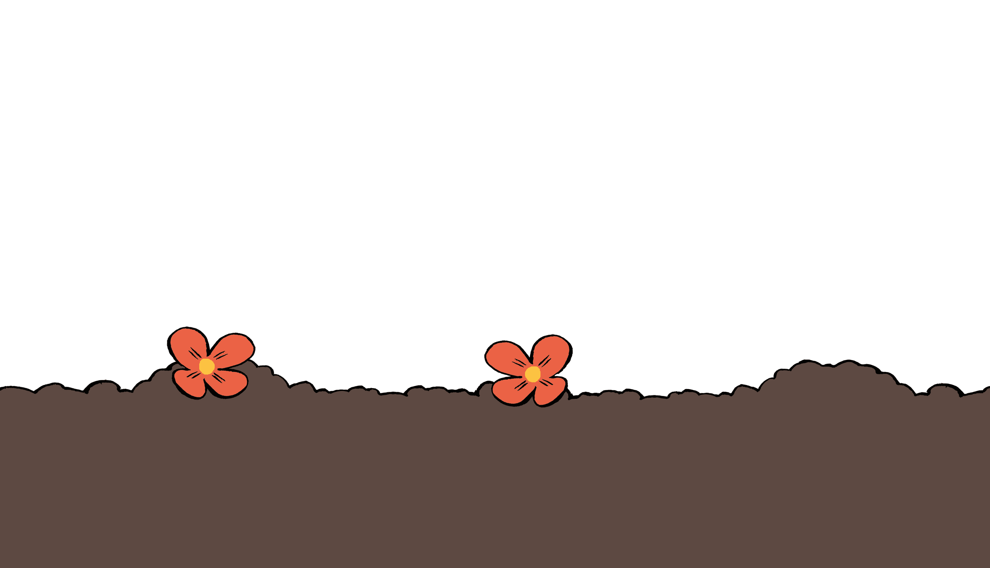 Fond 2 section activites